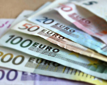 Fraude- en geldverzekering